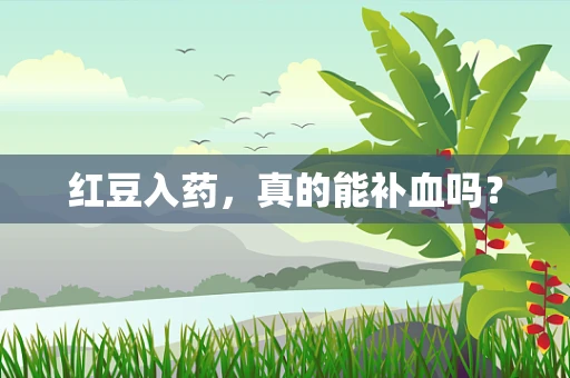 红豆入药，真的能补血吗？