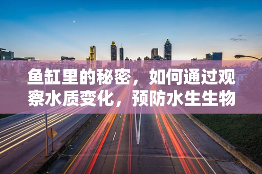 鱼缸里的秘密，如何通过观察水质变化，预防水生生物健康问题？