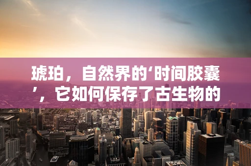 琥珀，自然界的‘时间胶囊’，它如何保存了古生物的秘密？
