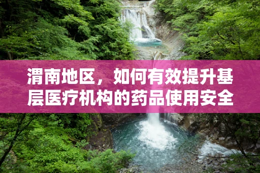 渭南地区，如何有效提升基层医疗机构的药品使用安全与效率？