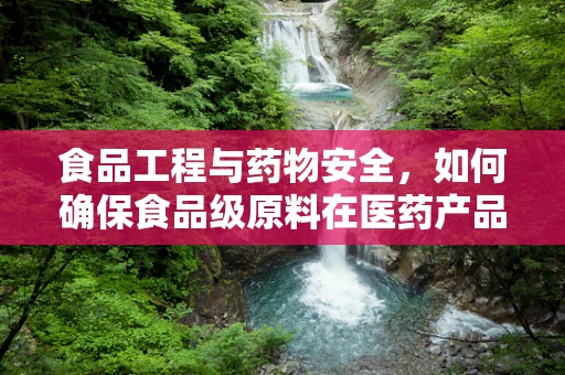 食品工程与药物安全，如何确保食品级原料在医药产品中的纯净度？