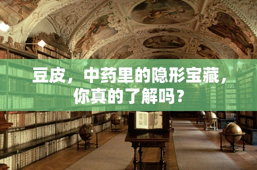 豆皮，中药里的隐形宝藏，你真的了解吗？