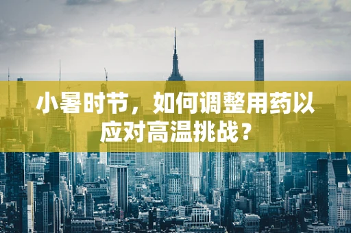 小暑时节，如何调整用药以应对高温挑战？