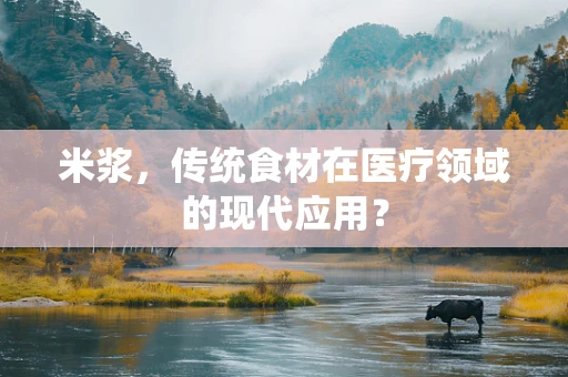 米浆，传统食材在医疗领域的现代应用？