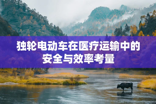 独轮电动车在医疗运输中的安全与效率考量