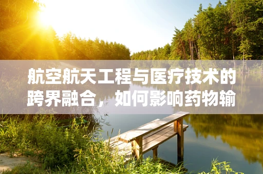 航空航天工程与医疗技术的跨界融合，如何影响药物输送系统？