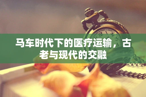 马车时代下的医疗运输，古老与现代的交融