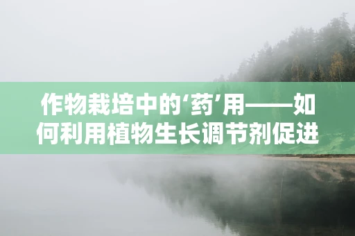 作物栽培中的‘药’用——如何利用植物生长调节剂促进作物健康生长？