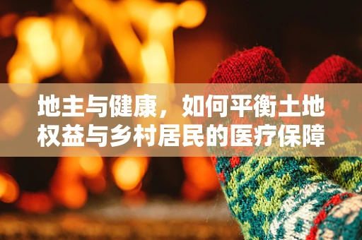 地主与健康，如何平衡土地权益与乡村居民的医疗保障？
