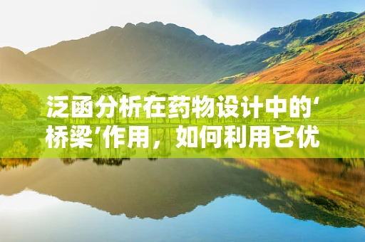 泛函分析在药物设计中的‘桥梁’作用，如何利用它优化药物靶点选择？