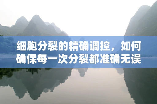 细胞分裂的精确调控，如何确保每一次分裂都准确无误？