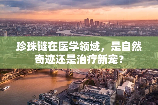 珍珠链在医学领域，是自然奇迹还是治疗新宠？