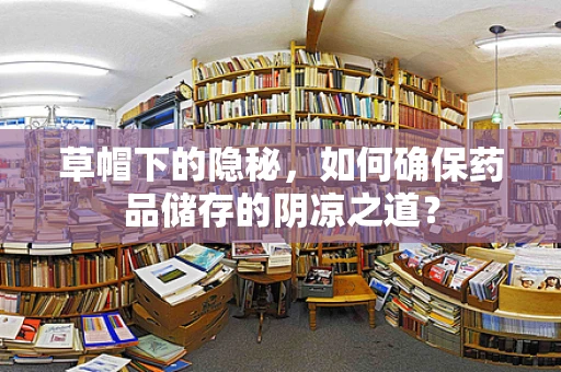 草帽下的隐秘，如何确保药品储存的阴凉之道？