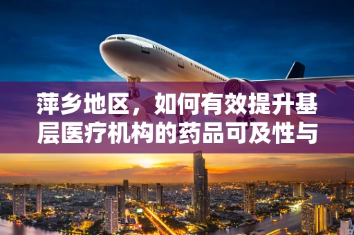 萍乡地区，如何有效提升基层医疗机构的药品可及性与质量？