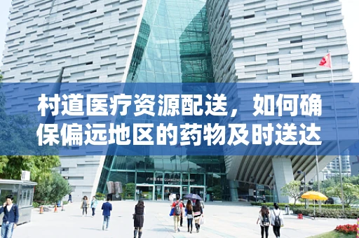 村道医疗资源配送，如何确保偏远地区的药物及时送达？
