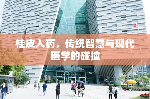 桂皮入药，传统智慧与现代医学的碰撞