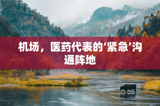机场，医药代表的‘紧急’沟通阵地