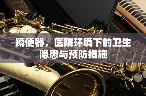 蹲便器，医院环境下的卫生隐患与预防措施