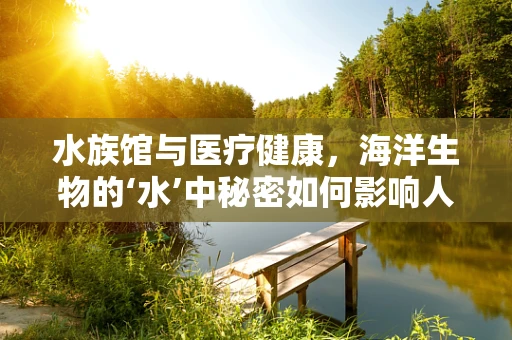 水族馆与医疗健康，海洋生物的‘水’中秘密如何影响人类健康？
