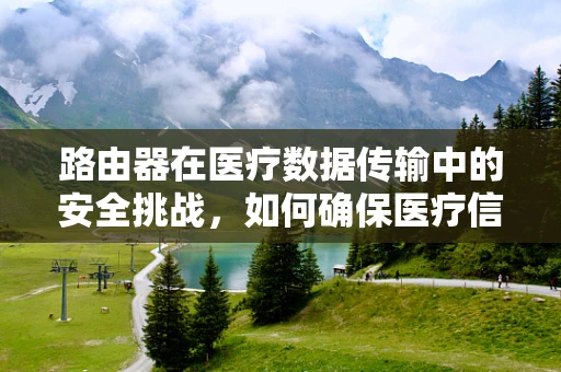 路由器在医疗数据传输中的安全挑战，如何确保医疗信息‘零泄漏’？
