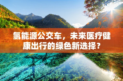 氢能源公交车，未来医疗健康出行的绿色新选择？