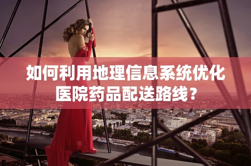 如何利用地理信息系统优化医院药品配送路线？