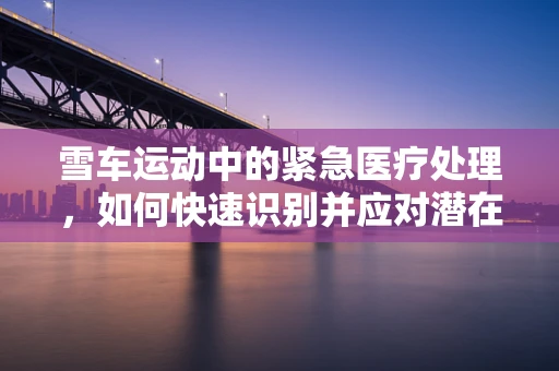 雪车运动中的紧急医疗处理，如何快速识别并应对潜在伤害？
