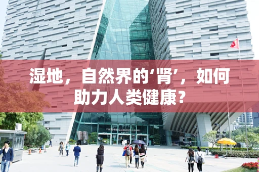 湿地，自然界的‘肾’，如何助力人类健康？