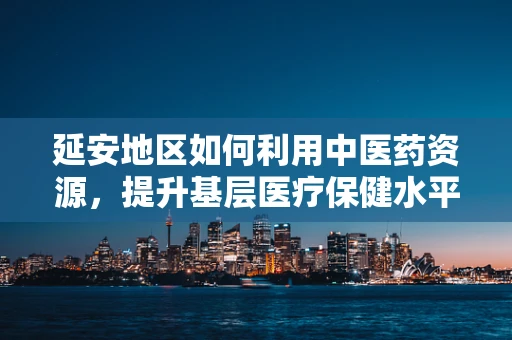 延安地区如何利用中医药资源，提升基层医疗保健水平？