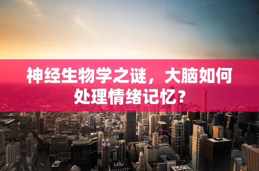 神经生物学之谜，大脑如何处理情绪记忆？