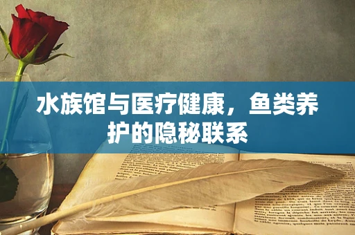 水族馆与医疗健康，鱼类养护的隐秘联系