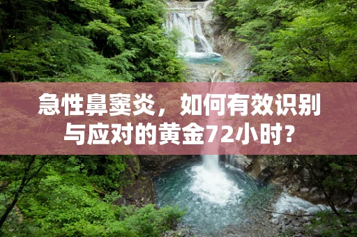 急性鼻窦炎，如何有效识别与应对的黄金72小时？