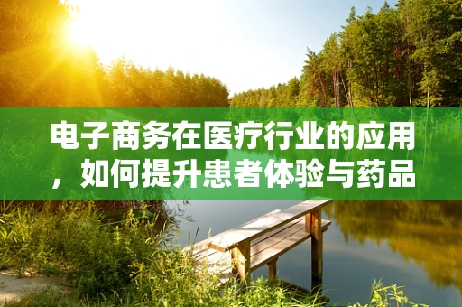 电子商务在医疗行业的应用，如何提升患者体验与药品可及性？