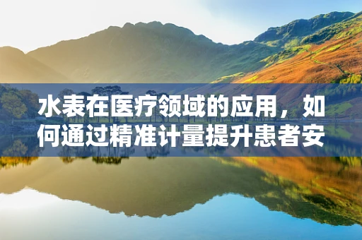 水表在医疗领域的应用，如何通过精准计量提升患者安全？