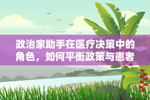 政治家助手在医疗决策中的角色，如何平衡政策与患者需求？