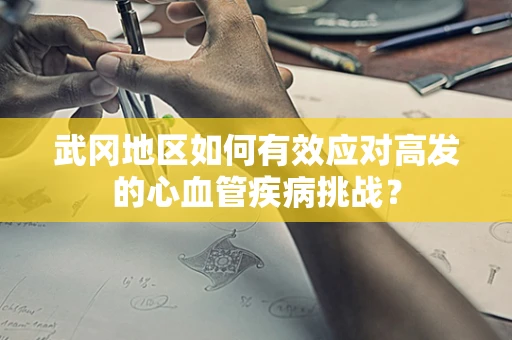 武冈地区如何有效应对高发的心血管疾病挑战？