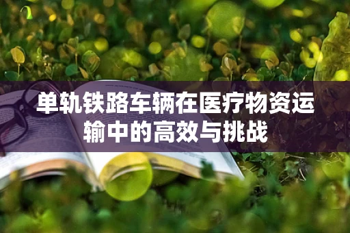 单轨铁路车辆在医疗物资运输中的高效与挑战
