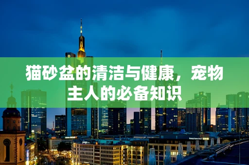 猫砂盆的清洁与健康，宠物主人的必备知识