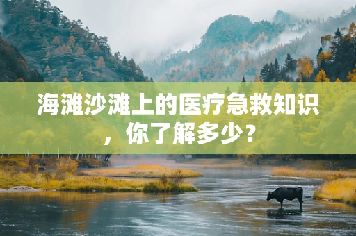海滩沙滩上的医疗急救知识，你了解多少？