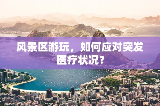 风景区游玩，如何应对突发医疗状况？