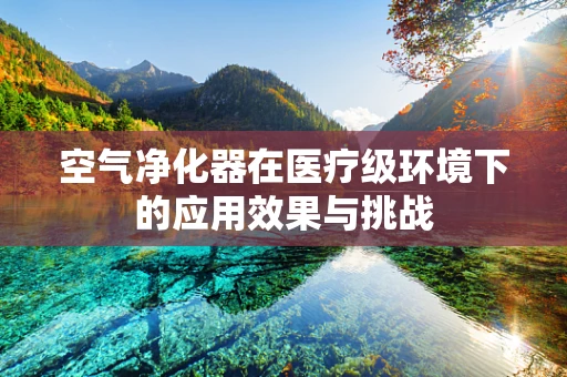 空气净化器在医疗级环境下的应用效果与挑战