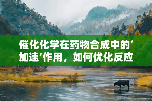 催化化学在药物合成中的‘加速’作用，如何优化反应效率？