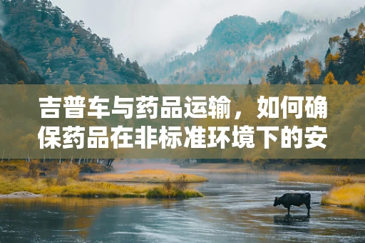 吉普车与药品运输，如何确保药品在非标准环境下的安全？