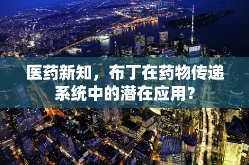 医药新知，布丁在药物传递系统中的潜在应用？