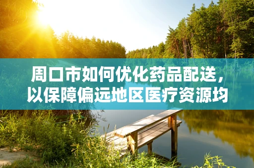 周口市如何优化药品配送，以保障偏远地区医疗资源均衡？