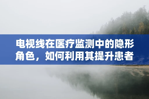 电视线在医疗监测中的隐形角色，如何利用其提升患者护理效率？