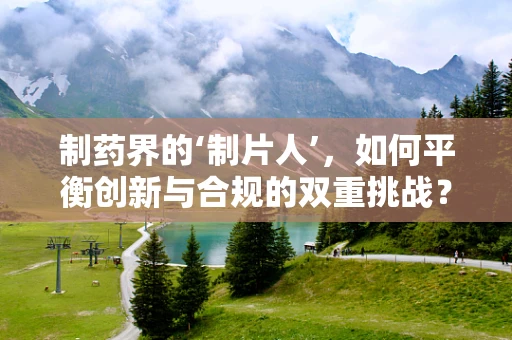 制药界的‘制片人’，如何平衡创新与合规的双重挑战？