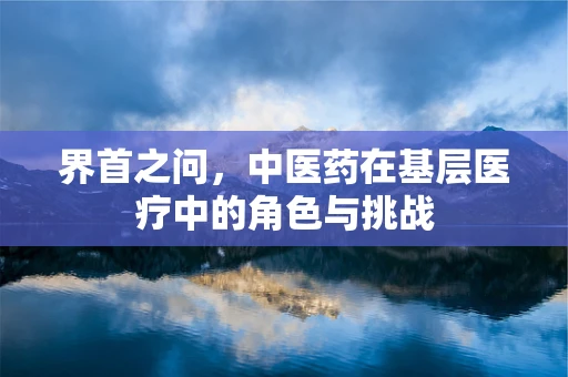 界首之问，中医药在基层医疗中的角色与挑战