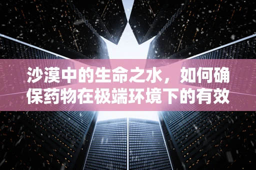 沙漠中的生命之水，如何确保药物在极端环境下的有效性与安全性？