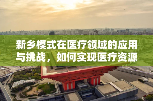 新乡模式在医疗领域的应用与挑战，如何实现医疗资源的高效配置？